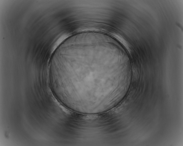 X0000091911290200710031012