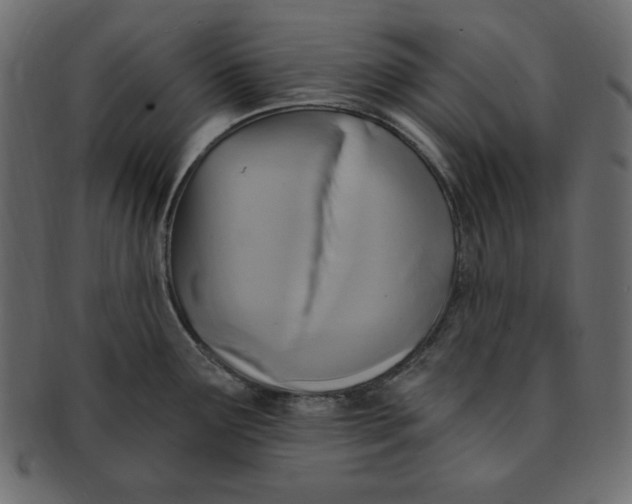 X0000091911291200710031012