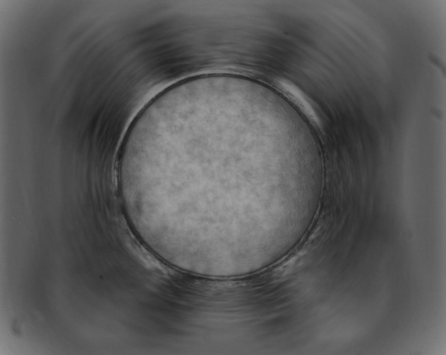 X0000091911292200710031012