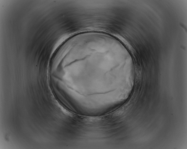 X0000091911294200710031012