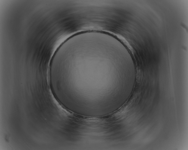 X0000091911295200710031012