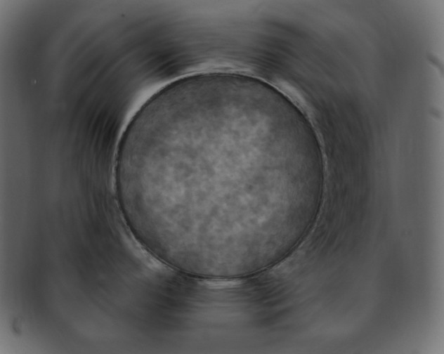 X0000091911296200710031012