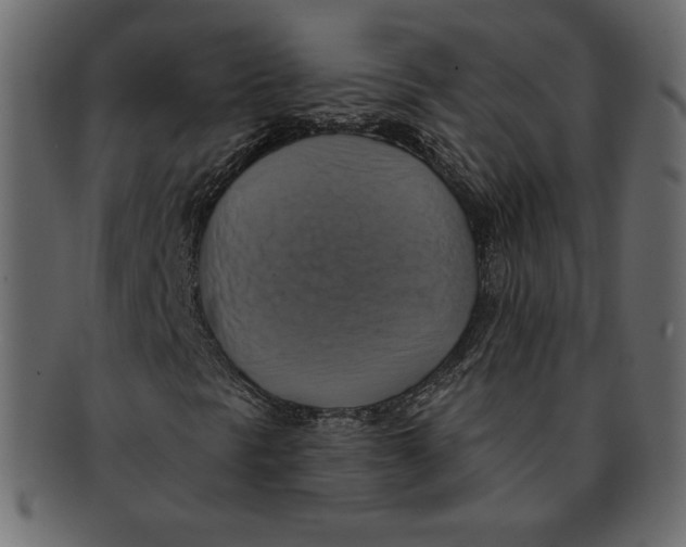 X0000091911297200710031011