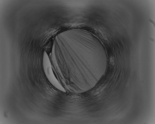 X0000091911300200710031011