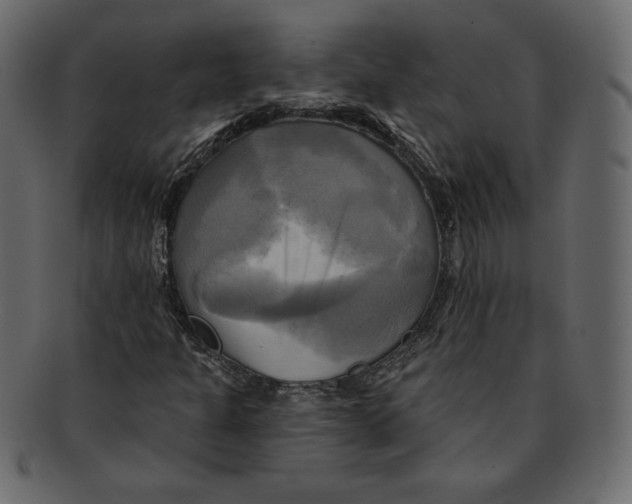 X0000091911301200710031011