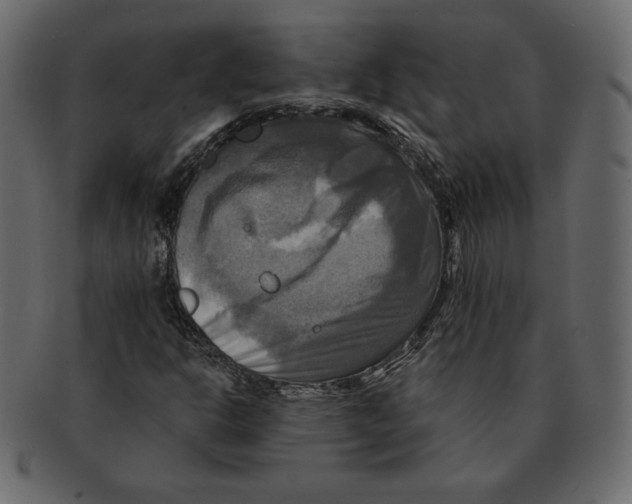 X0000091911302200710031011