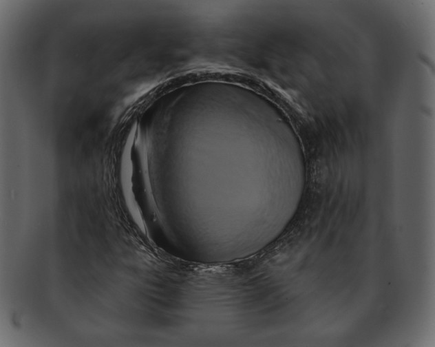 X0000091911303200710031011