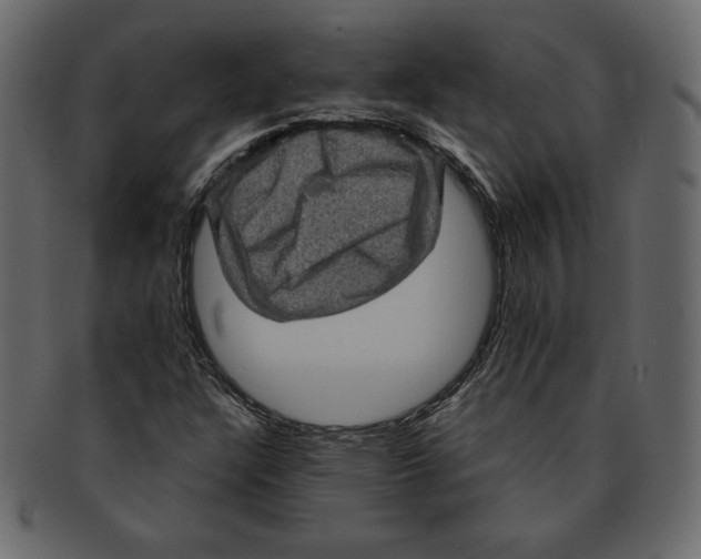 X0000091911304200710031011