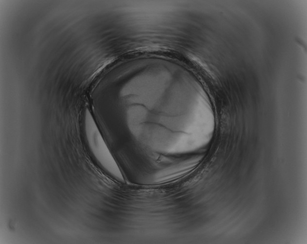 X0000091911305200710031011