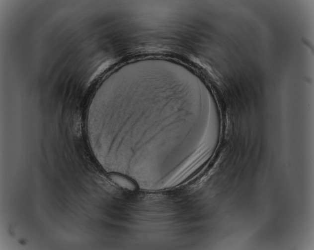 X0000091911306200710031011