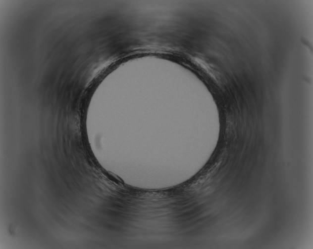 X0000091911307200710031011