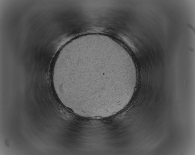 X0000091911308200710031011