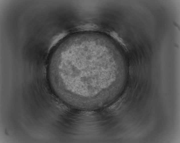 X0000091911309200710031011