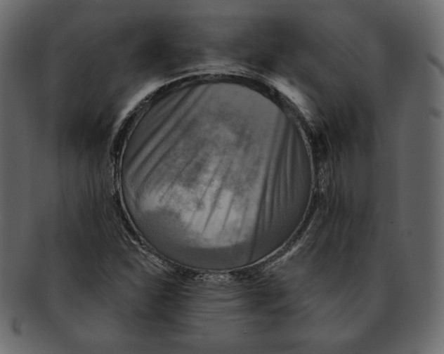 X0000091911310200710031011