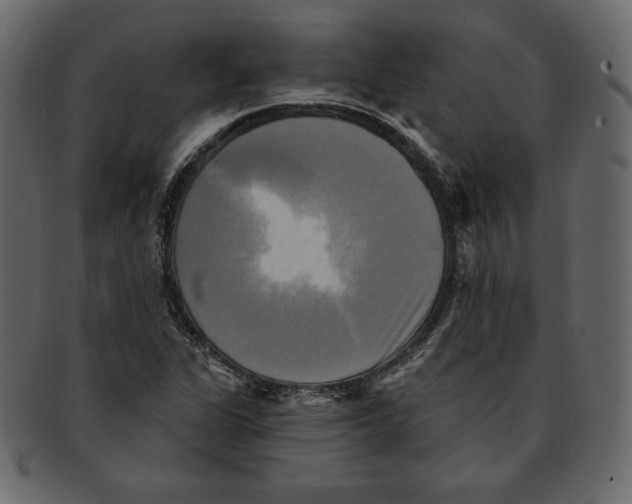 X0000091911311200710031011