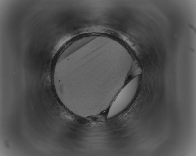 X0000091911312200710031011