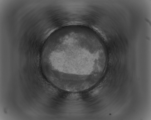 X0000091911313200710031011