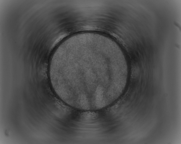 X0000091911314200710031011