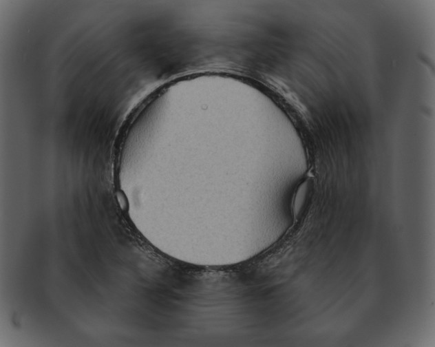 X0000091911316200710031011