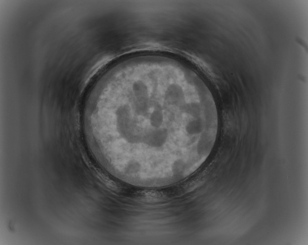 X0000091911318200710031012