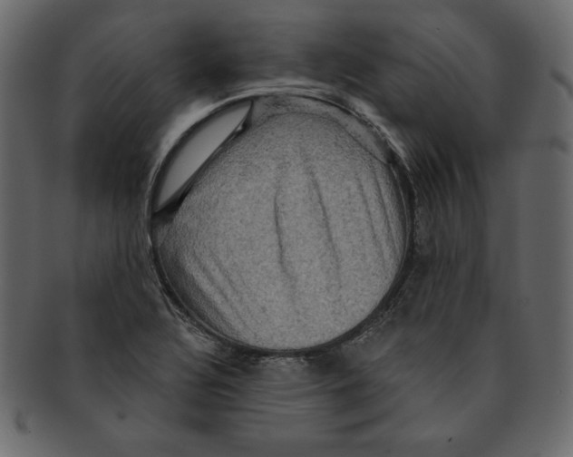 X0000091911320200710031012