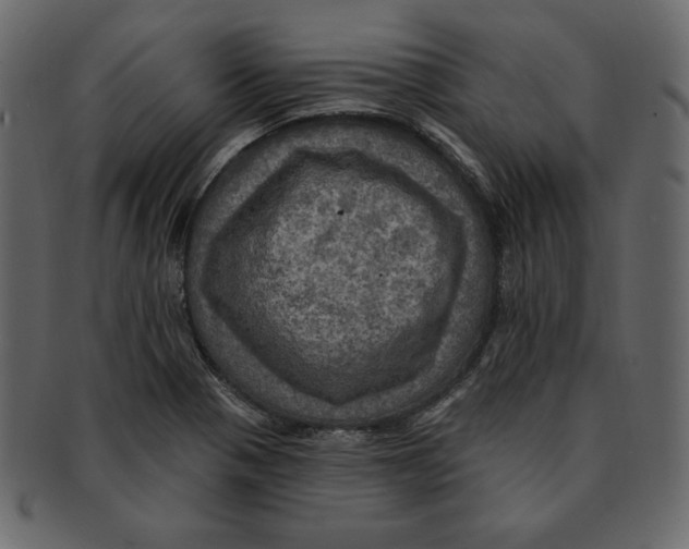 X0000091911321200710031012