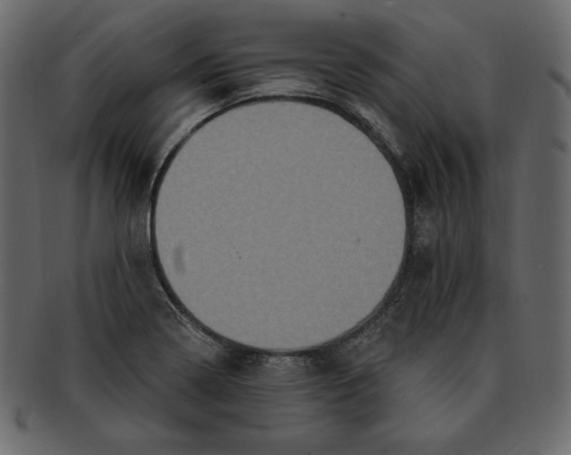 X0000091911322200710031012