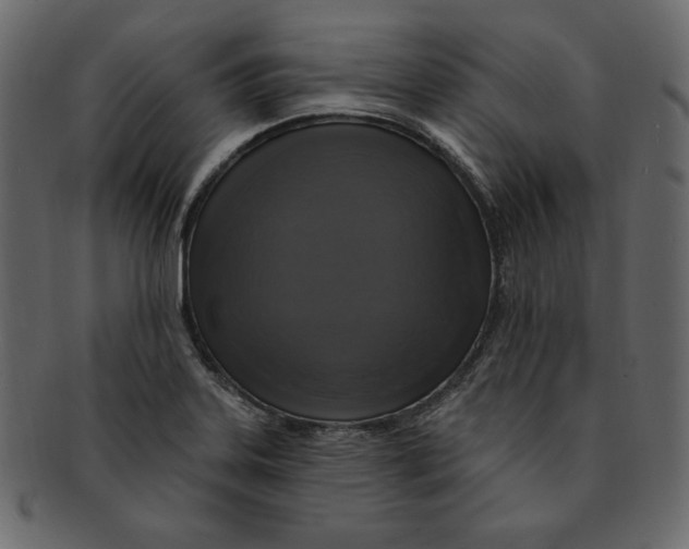 X0000091911323200710031012