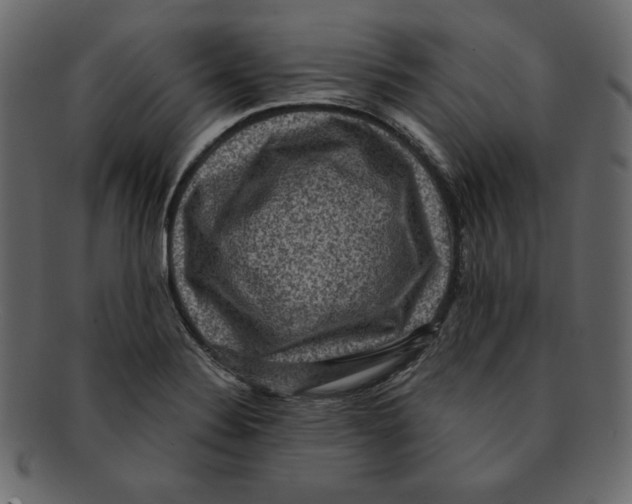 X0000091911324200710031012