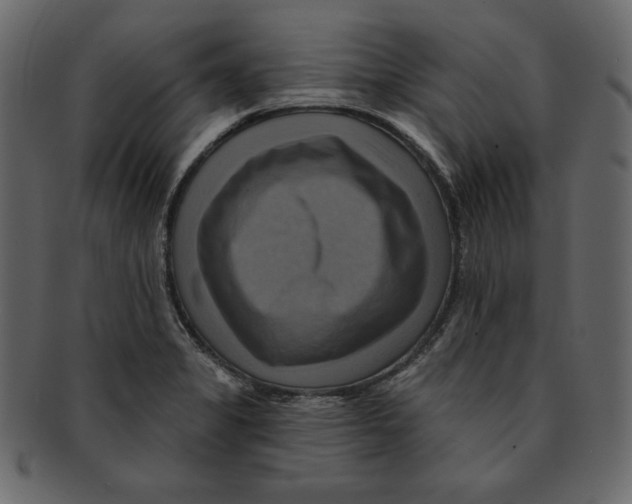 X0000091911325200710031012