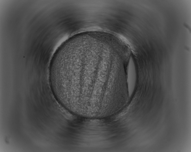 X0000091911326200710031012