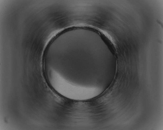 X0000091911327200710031012