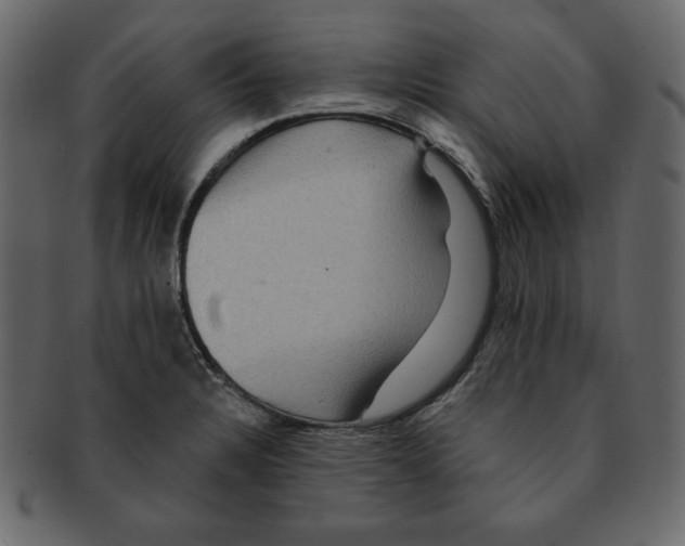 X0000091911328200710031012