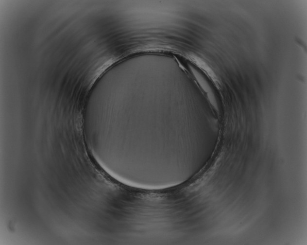 X0000091911329200710031012