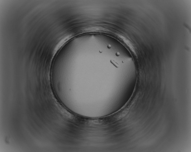 X0000091911330200710031012