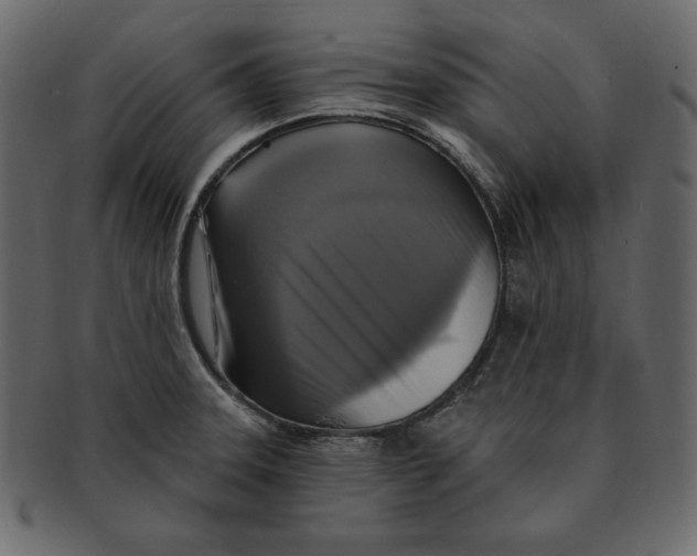 X0000091911331200710031012