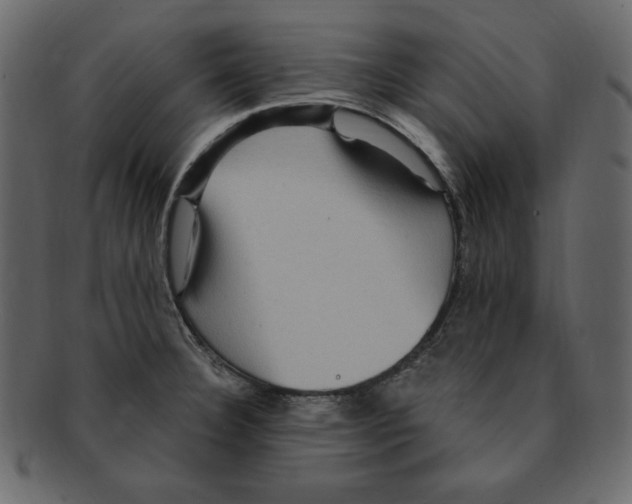 X0000091911332200710031012