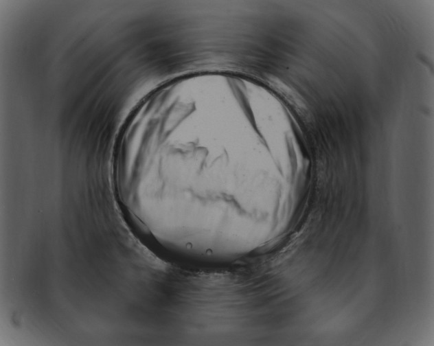 X0000091911334200710031012