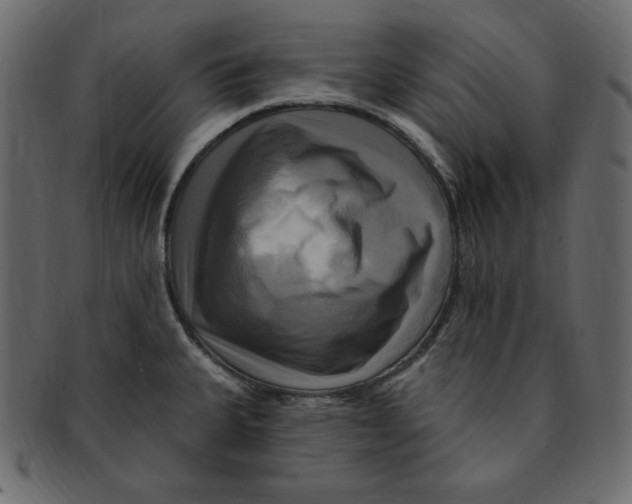 X0000091911335200710031012