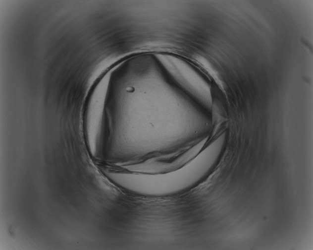 X0000091911336200710031012