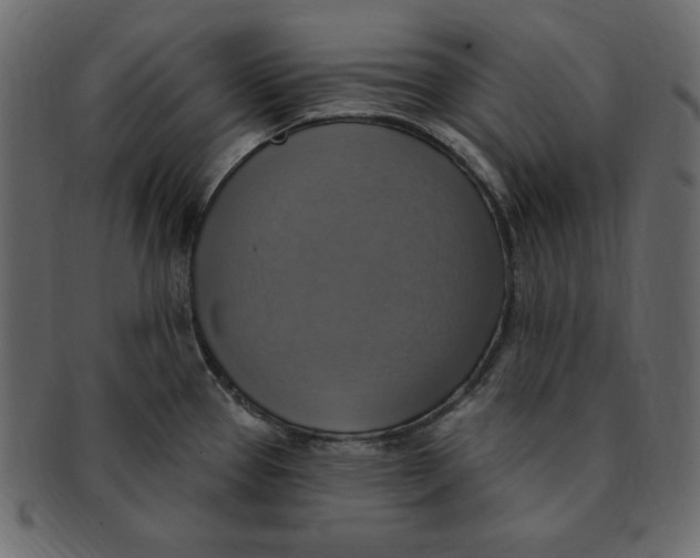 X0000091911337200710031012