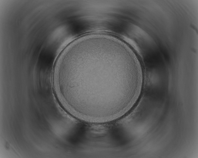 X0000091911338200710031012