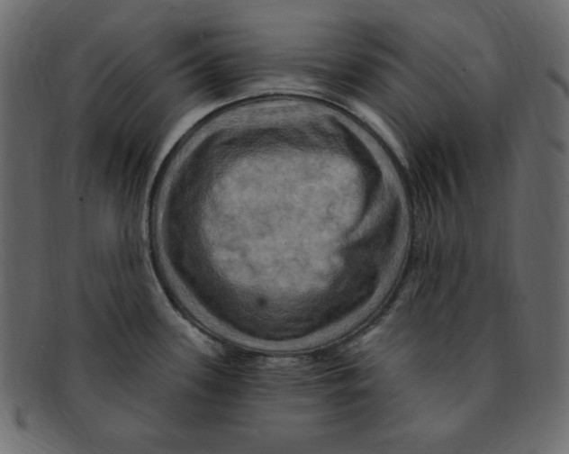 X0000091911339200710031012