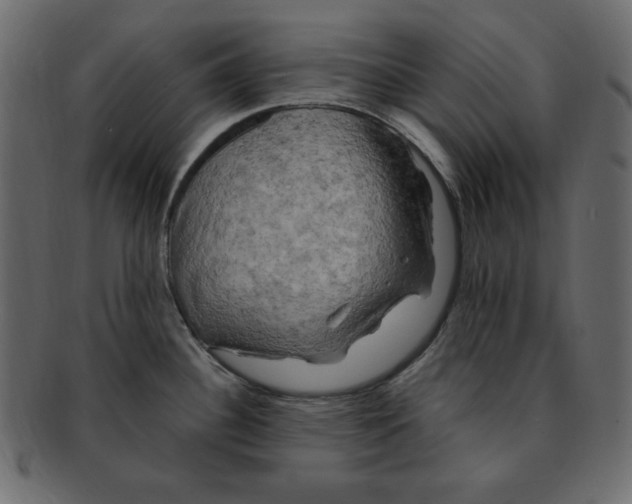 X0000091911340200710031012