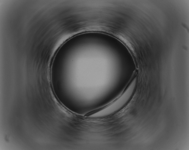 X0000091911342200710031012