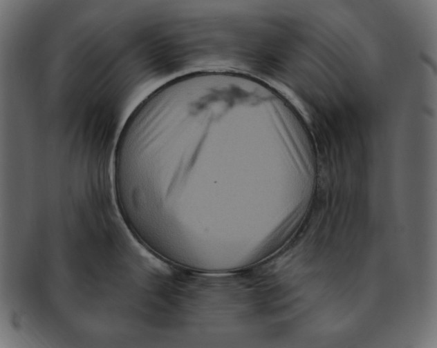 X0000091911343200710031012