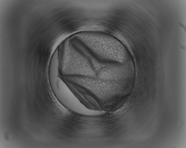 X0000091911344200710031012