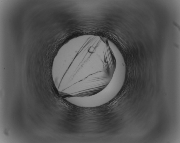 X0000091911345200710031011