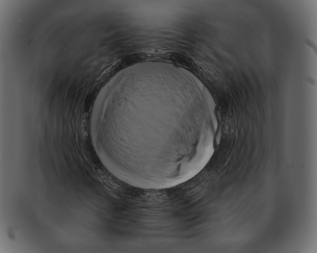 X0000091911346200710031011