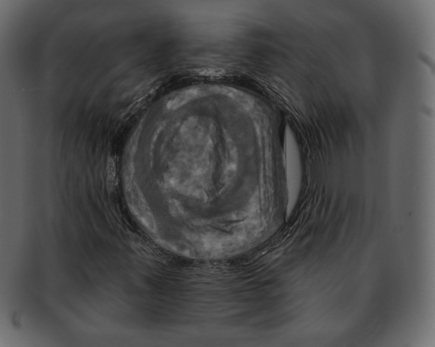 X0000091911347200710031011